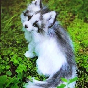 Meet your Posher, Briana